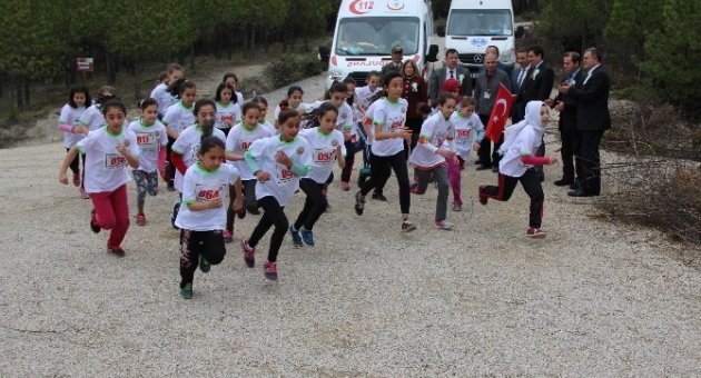 5. Orman Koşusu Karabük’te Yapıldı