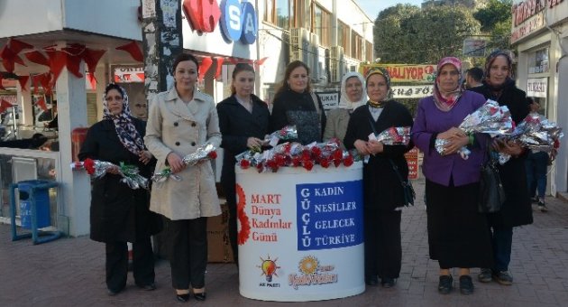 AK Kadınlar Karanfil Dağıttı