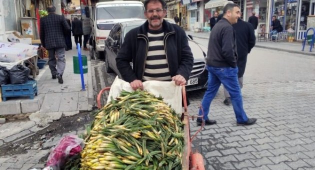 Baharın Müjdecisi Çiriş Tezgahlarda Yerini Aldı