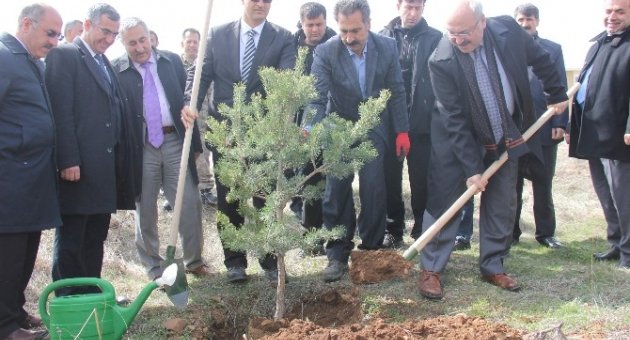 Bingöl’de Orman Haftası Kapsamında Fidan Dikimi Gerçekleştirildi