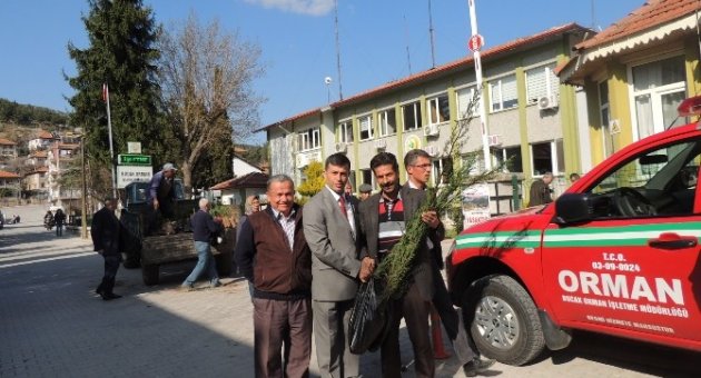 Bucak’ta 5 Bin Fidan Dağıtıldı