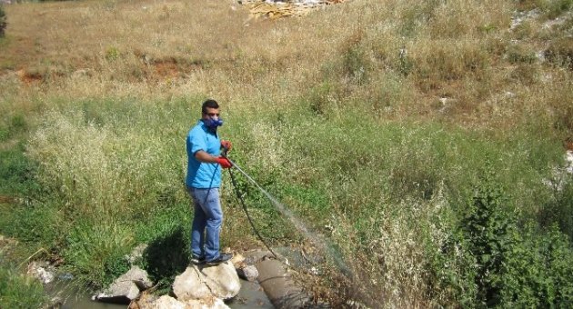 Büyükşehir’den Larva Mücadelesi