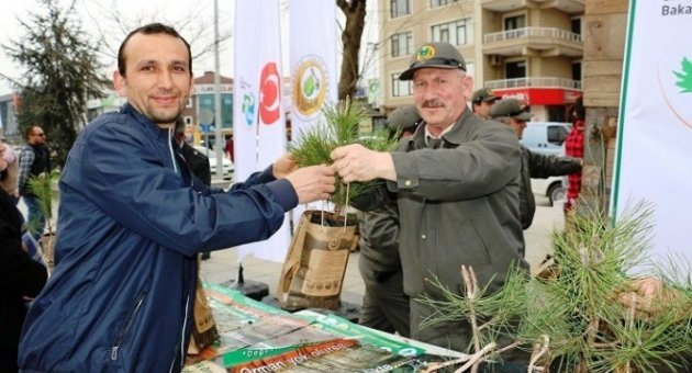 Düzce’de Ücretsiz 10 Bin Adet Fidan Dağıtıldı