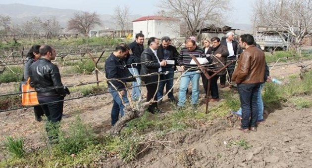 Elazığ’da Bitki Sağlığı Eğitimi Verildi