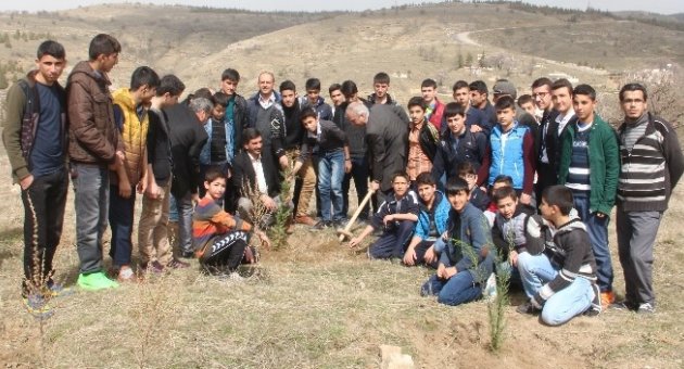 Elazığ’da Nevruz Ormanı’na Fidan Dikildi