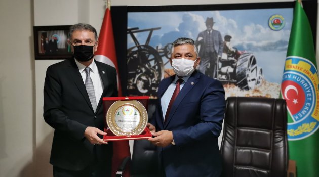 Fındık üreticileri serbest piyasayı tercih ediyor