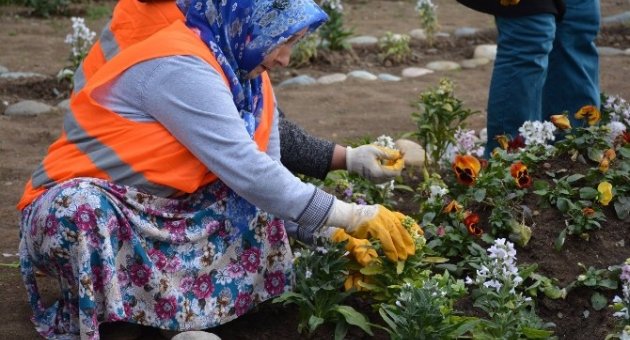 Görele Belediyesi Rengarenk Çiçekleri Toprakla Buluşturuyor