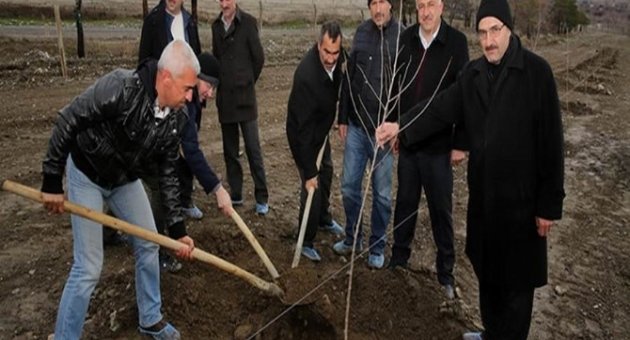 Kapama Dut Bahçesi Projesinde İlk Fidan Dikildi