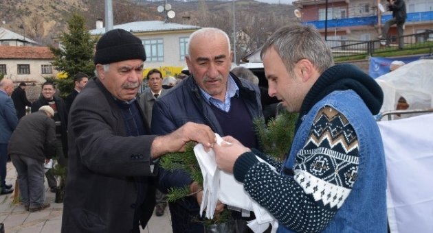 Koyulhisar’da 3 Bin Fidan Dağıtıldı