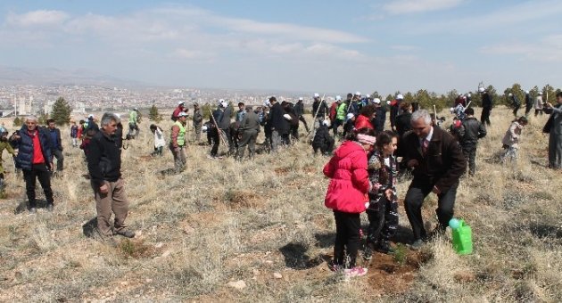Minik Öğrenciler Fidan Dikti
