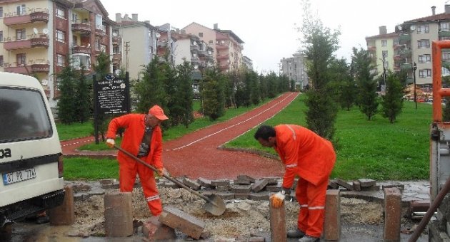 Parklarda Hummalı Çalışma