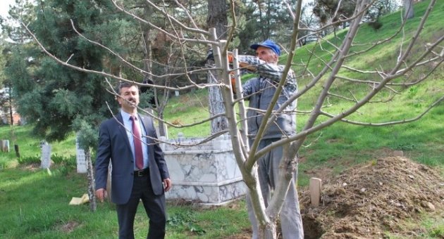 Pazarlar’da Mezarlıklara Bahar Bakımı