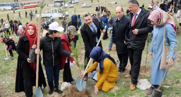 Üniversiteli Gençler Hem Eğlendi Hem De Ağaç Dikti