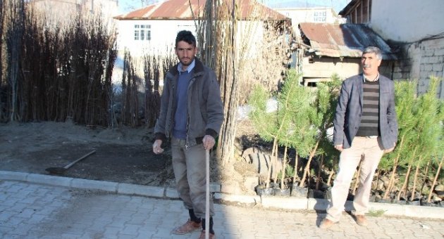 Varto’da Fidan Satışları Başladı
